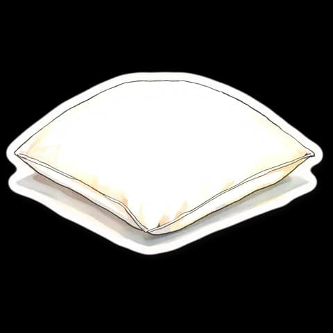 the pillow, the picture from the book