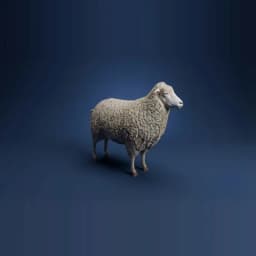 Sheep