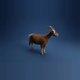 Goat