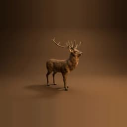 Stag