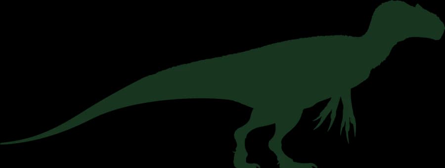 Allosaurus, an outline