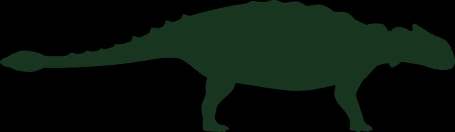 Ankylosaurus, an outline