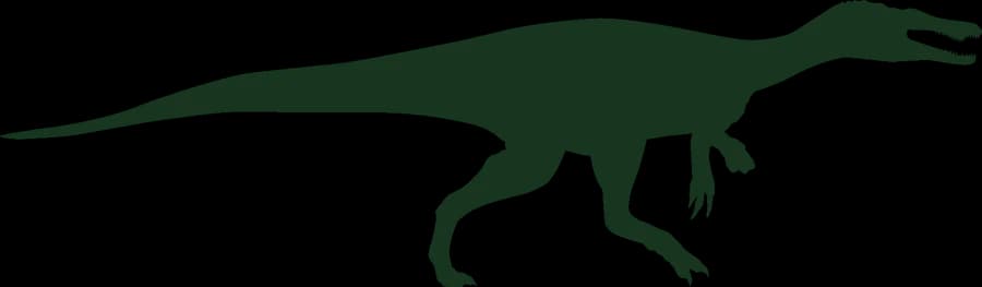 Baryonyx, an outline