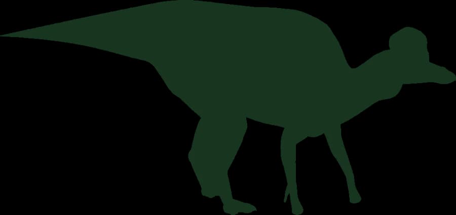 Corythosaurus, a duck-billed dinosaur with a crest like a helmet, an outline