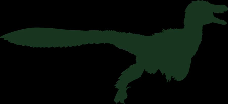 Deinonychus, an outline