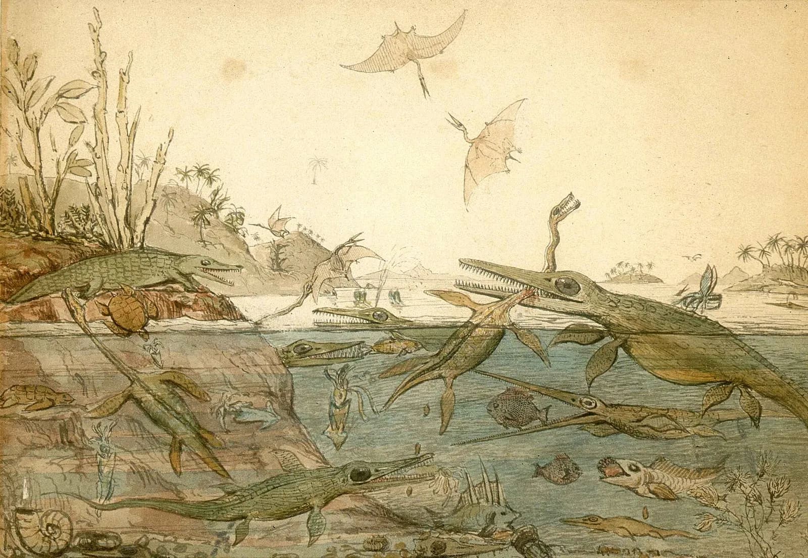 An old watercolor of ancient sea life: long-necked plesiosaurs, fish-shaped ichthyosaurs and flying pterosaurs fighting in and above the water