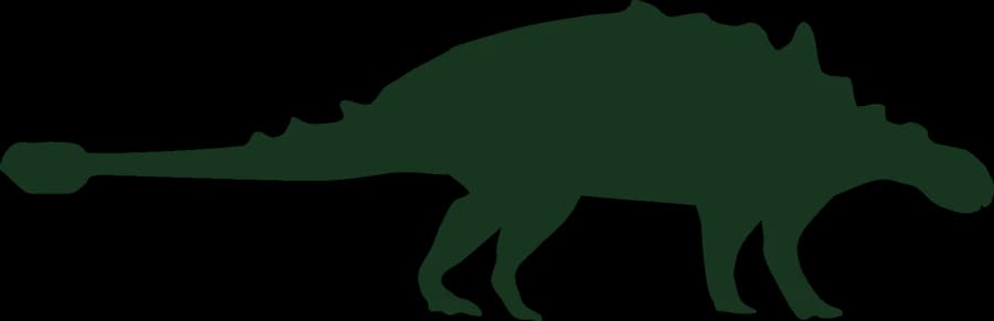 Euoplocephalus, an outline