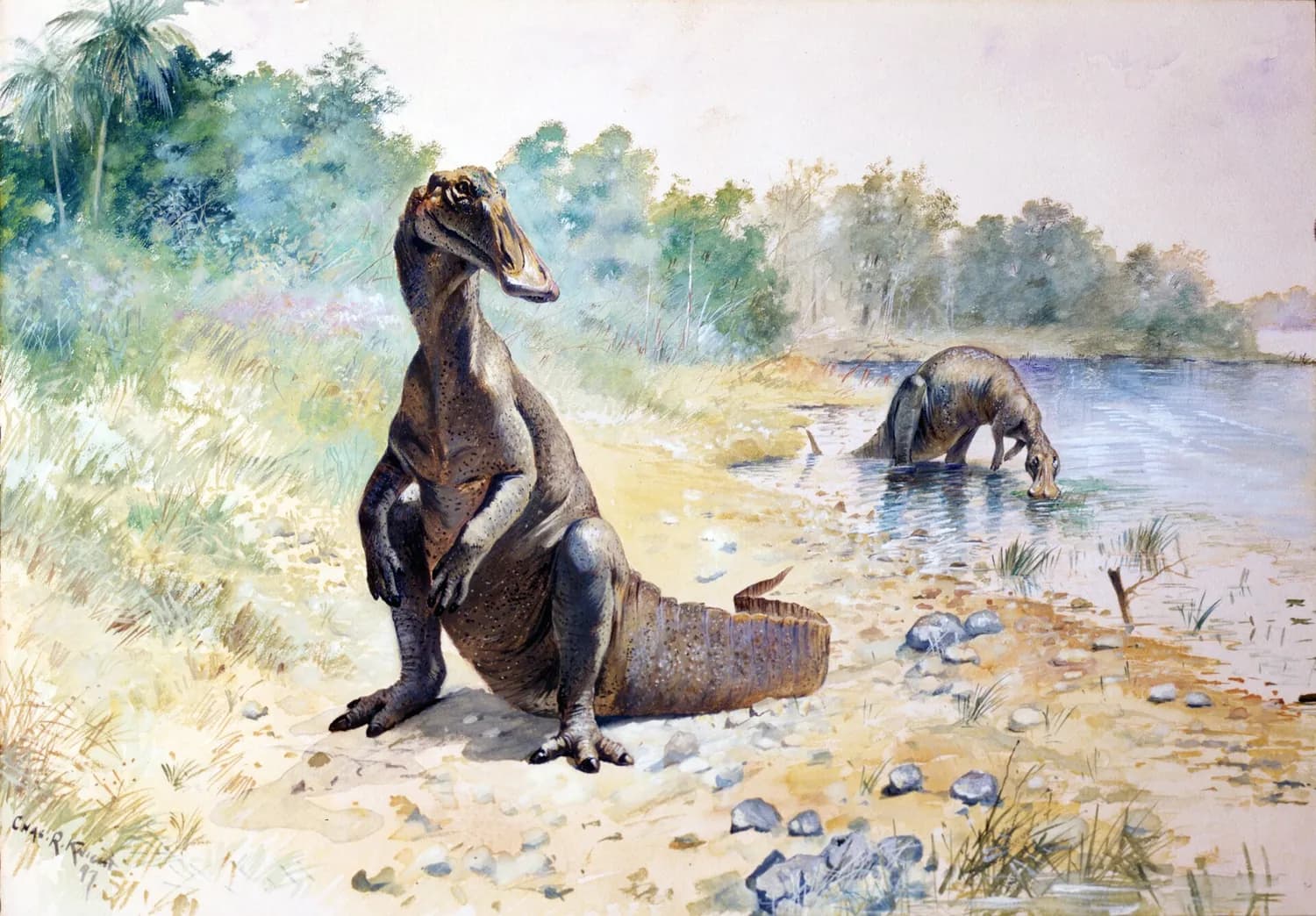 Duck-billed dinosaurs by a lake, painted by Charles R. Knight in 1897