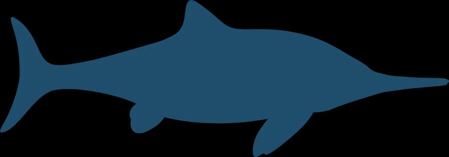 Ichthyosaurs, an outline