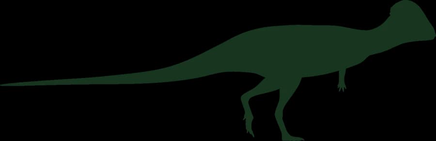 Prenocephale, a bone-headed dinosaur, an outline