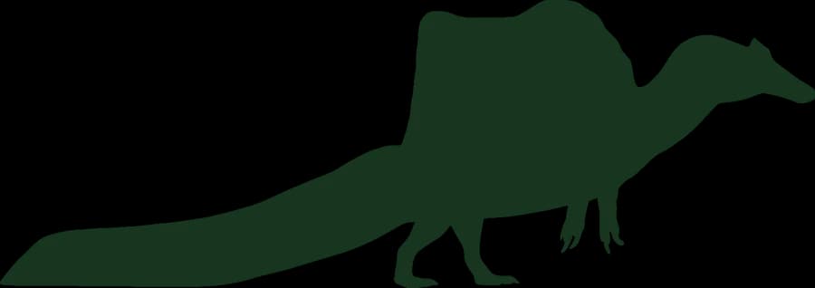 Spinosaurus, an outline