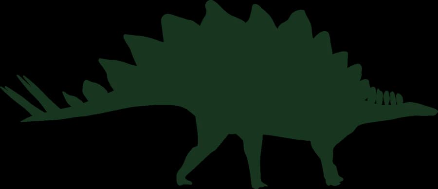 Stegosaurus, an outline