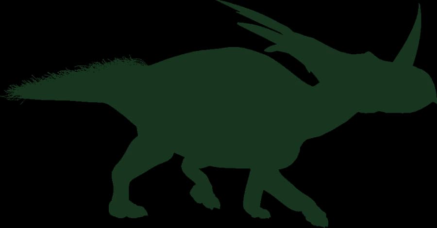 Styracosaurus, an outline