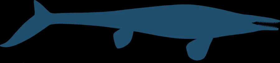 Mosasaurs, an outline