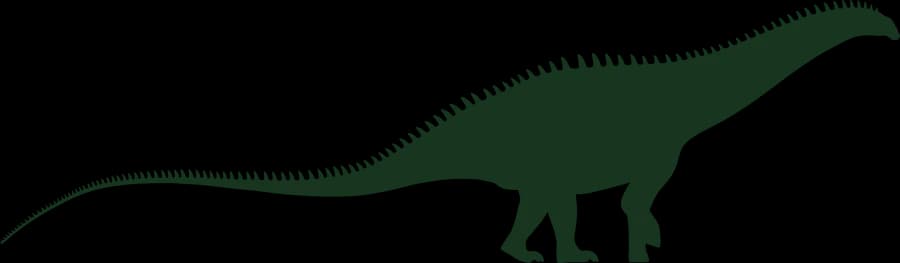 Apatosaurus, an outline