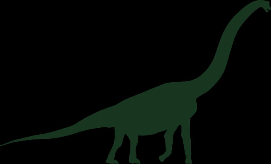 Brachiosaurus, an outline