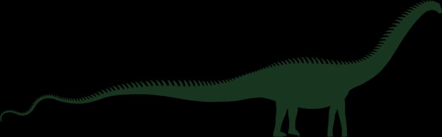 Diplodocus, an outline