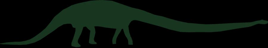 Mamenchisaurus, an outline