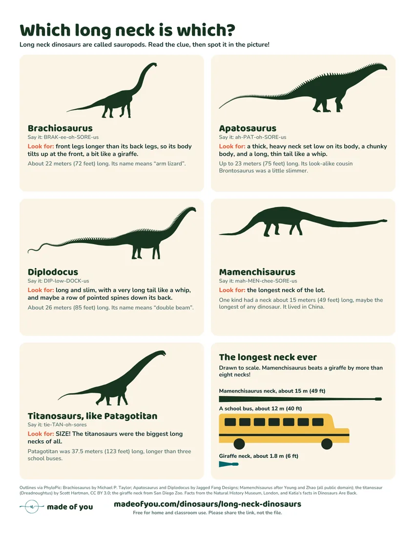 The free printable long neck dinosaur card: Brachiosaurus, Apatosaurus, Diplodocus, Mamenchisaurus and a titanosaur, each with a clue