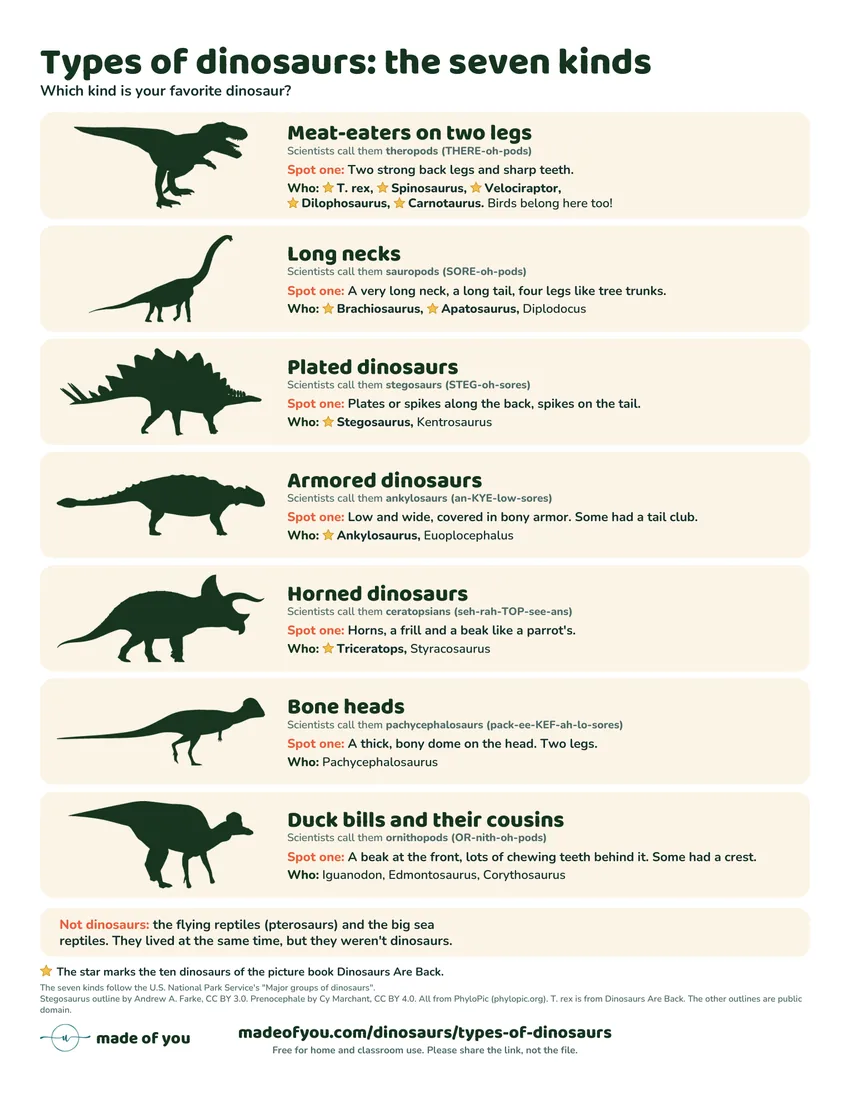 The free printable Types of dinosaurs poster: the seven kinds, each with an outline, a spotting clue and its dinosaurs
