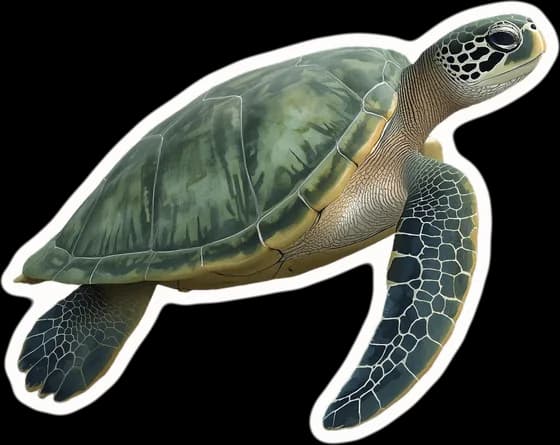 The sea turtle, a paper cut-out