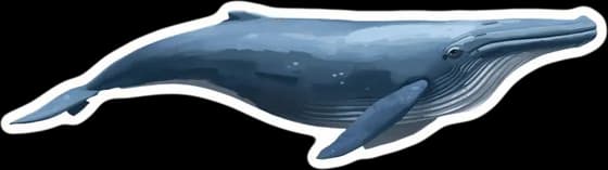 The whale (the blue whale), a paper cut-out