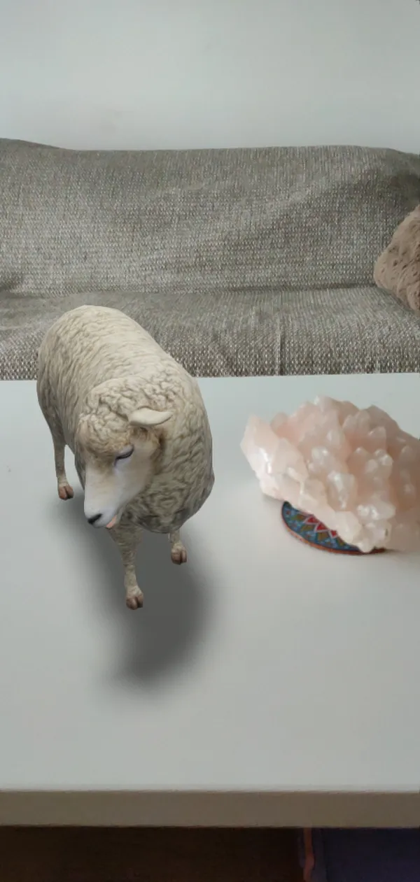 The sheep from Farm Animals standing on a coffee table, in augmented reality