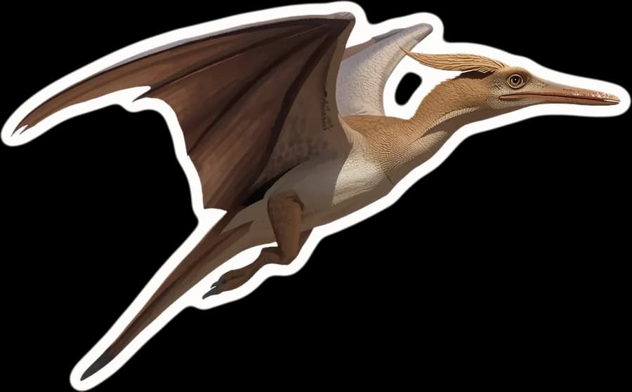 The Pteranodon, a paper cut-out