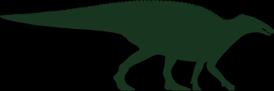 Edmontosaurus, an outline