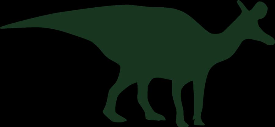 Lambeosaurus, an outline