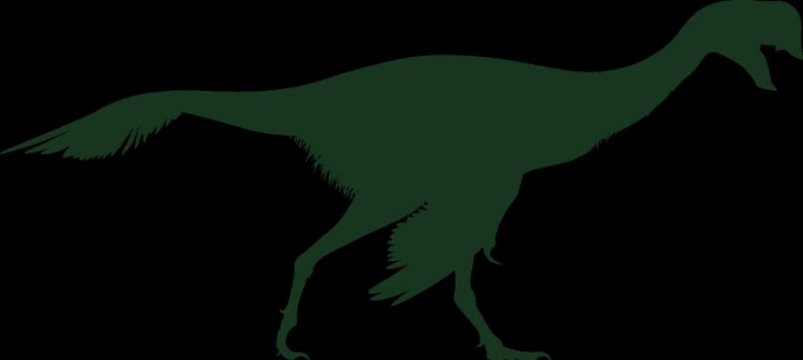 Oviraptor, an outline
