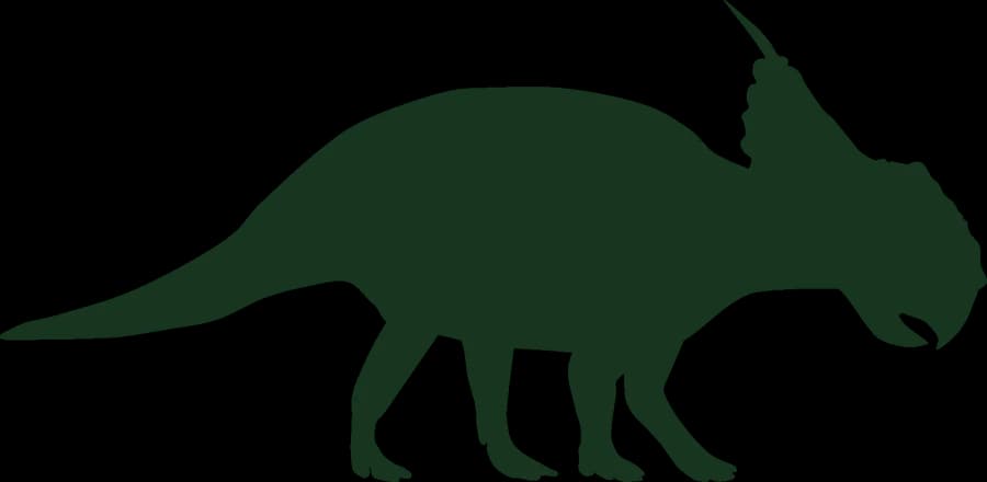 Pachyrhinosaurus, an outline