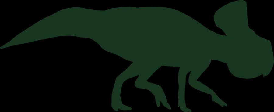 Protoceratops, an outline