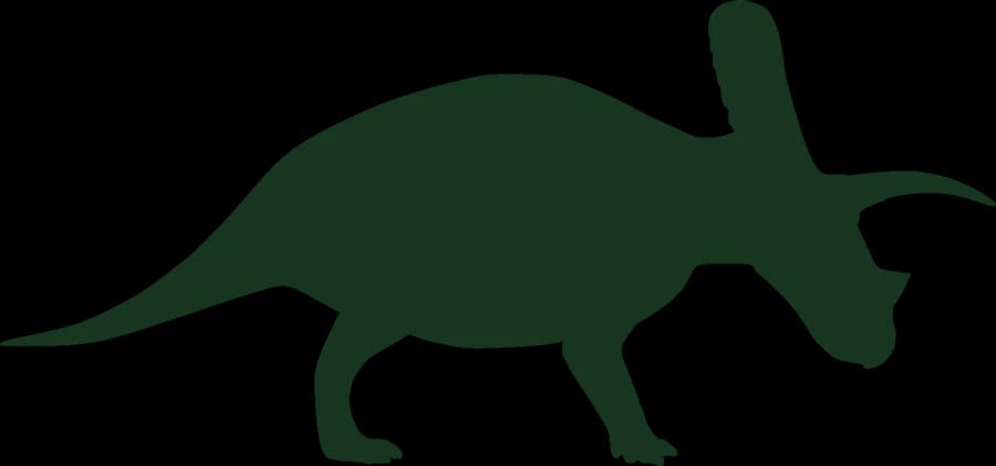 Torosaurus, an outline