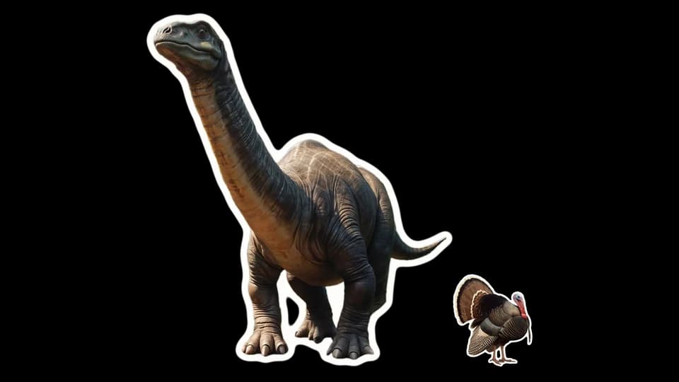 An Apatosaurus and a turkey, paper cut-outs
