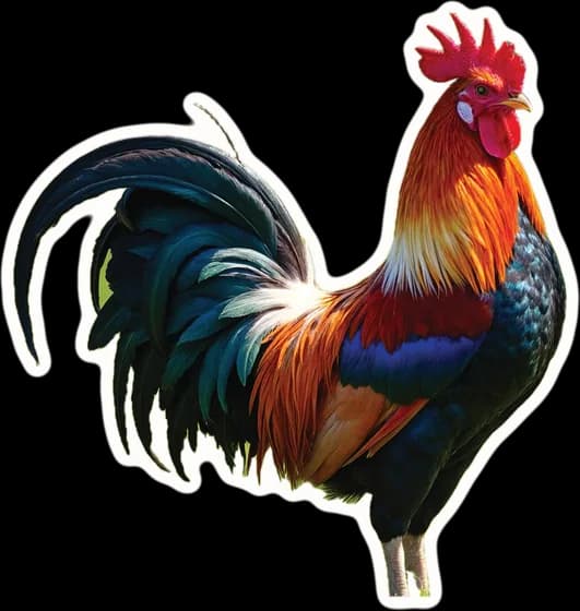A rooster, a paper cut-out