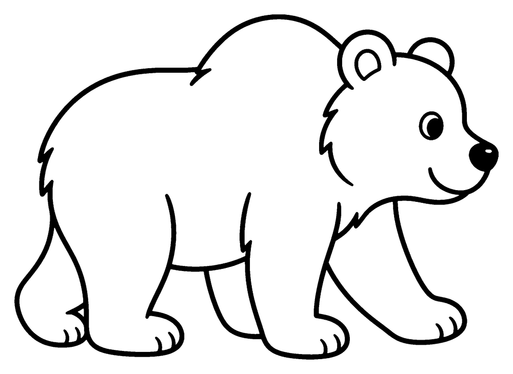 Bear coloring page: a big bear walking on all four paws.