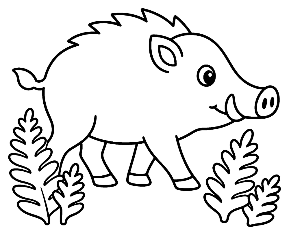 Animal coloring page: a wild boar walking between ferns.