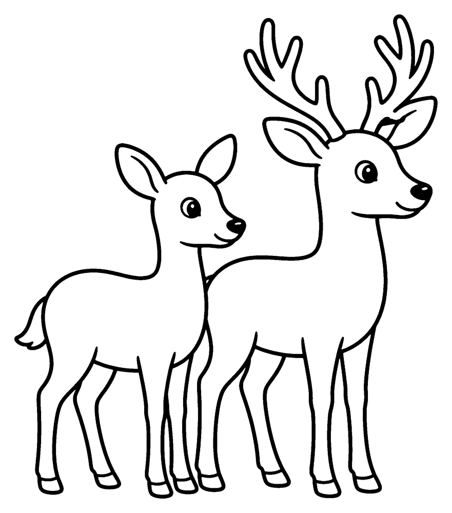 Deer coloring page: a doe and a stag with antlers standing side by side.