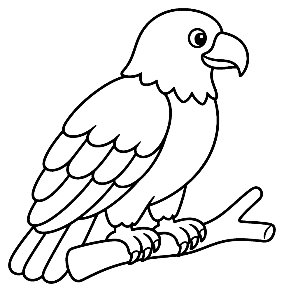 Animal coloring page: an eagle with a hooked beak sitting on a branch.