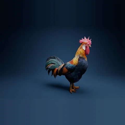 3D rooster from Farm Animals