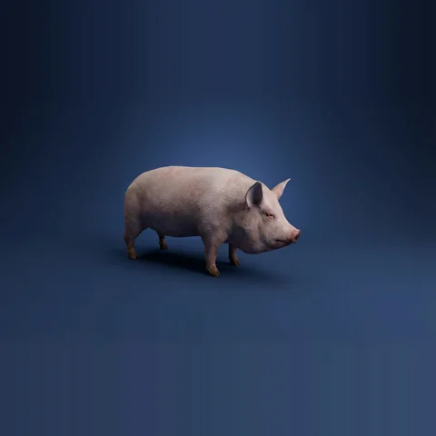 3D pig from Farm Animals