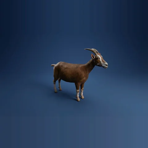 3D goat from Farm Animals