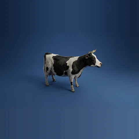 3D cow from Farm Animals