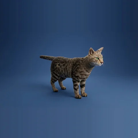 3D cat from Farm Animals