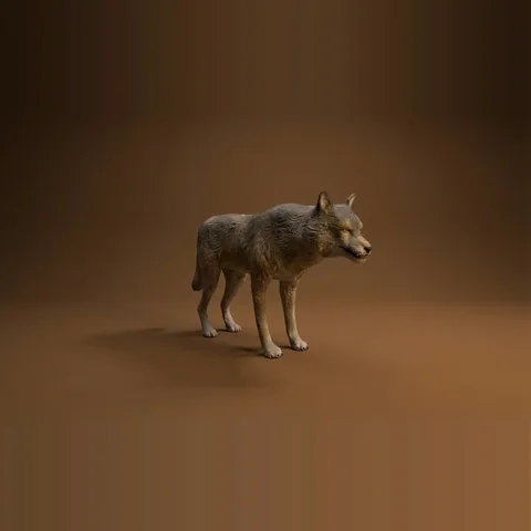 3D wolf from Forest Animals