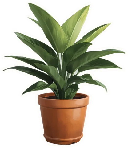 Houseplant, a paper cut-out