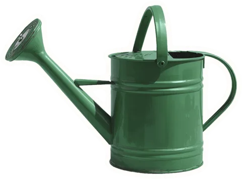 Watering can, a paper cut-out