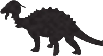 A shadow clue: whose shadow is this?