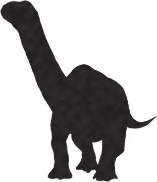 A shadow clue: whose shadow is this?